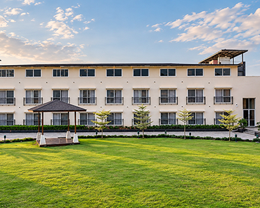 outdoor lawn 2